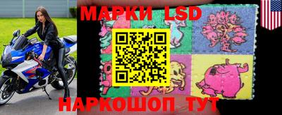 стафф Новодвинск