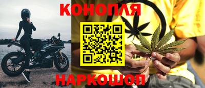 стафф Новодвинск