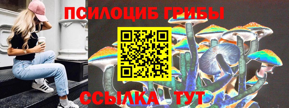 Галлюциногенные грибы прущие грибы  Галлюциногенные грибы MAGIC MUSHROOMS  Вход с VPN  Верхний Уфалей 