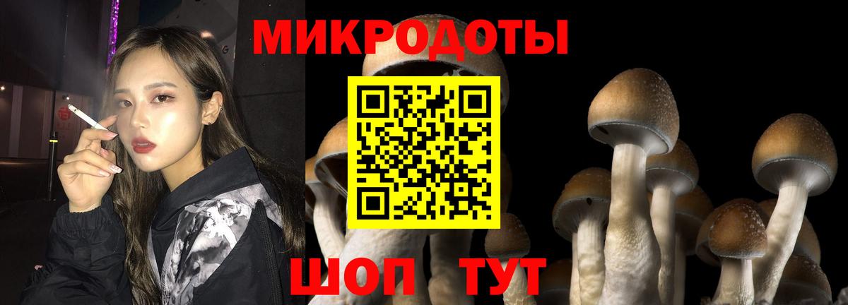 Псилоцибиновые грибы MAGIC MUSHROOMS Верхний Уфалей
